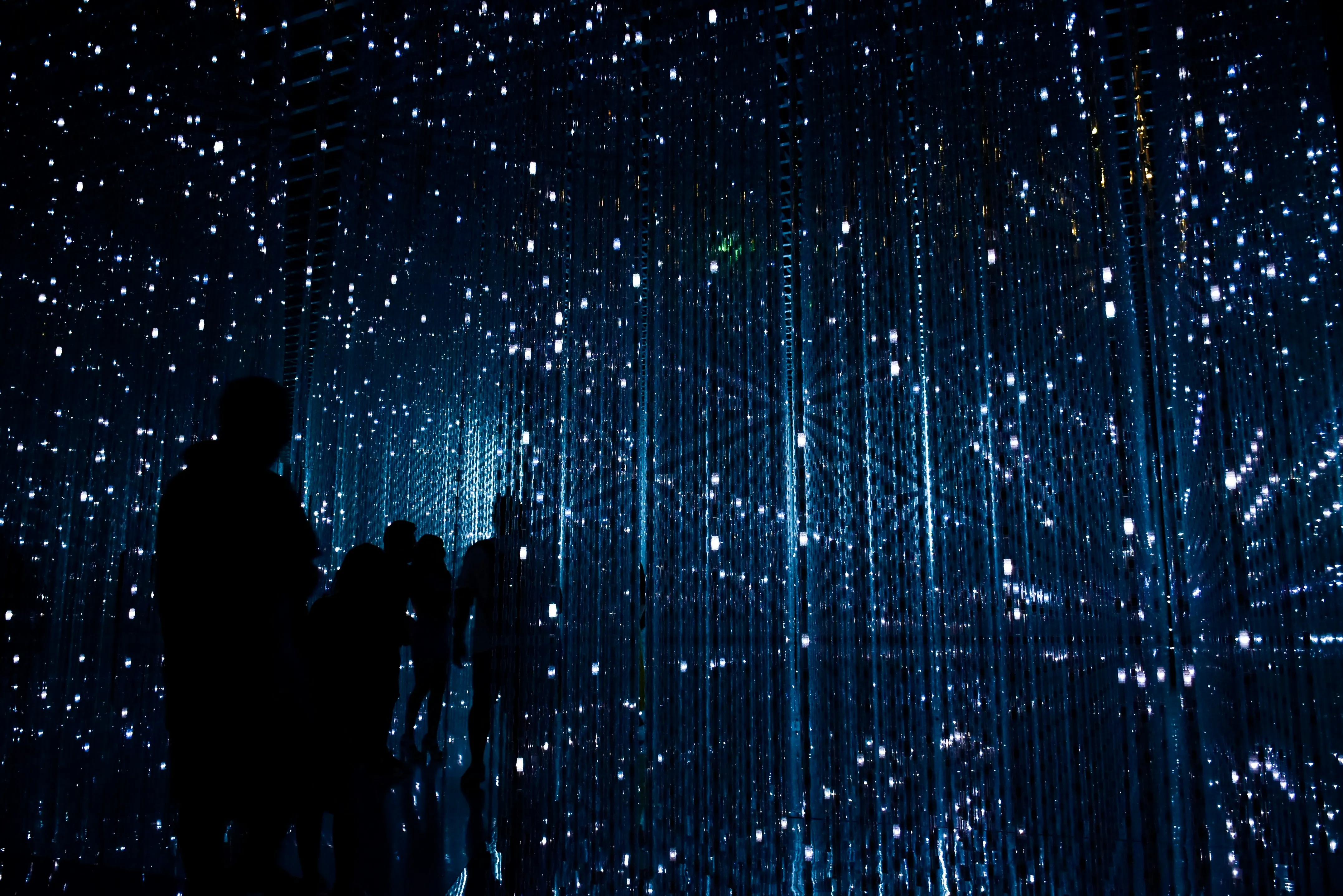 A group of people stand in silhouette inside an immersive light installation featuring thousands of vertical hanging LED strands. The environment is dark with cold blue and white light creating a rhythmic, shimmering pattern.